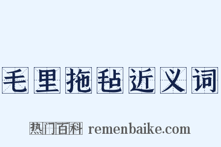 毛里拖毡近义词是什么意思的图片